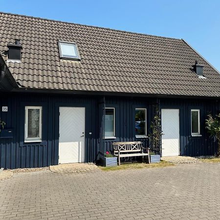 Ferienhaus Mit Sauna Zingst Dış mekan fotoğraf